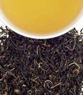 Yin Hao Jasmine